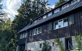 Zielarnia Dom Gościnny - Sauna